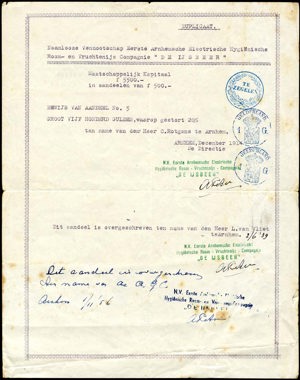 Eerste Arnhemsche Electrische Hijgiënische Room- en Vruchtenijs Compagnie, De IJsbeer N.V., Duplicaat bewijs van aandeel, 500 Gulden, December 1914
